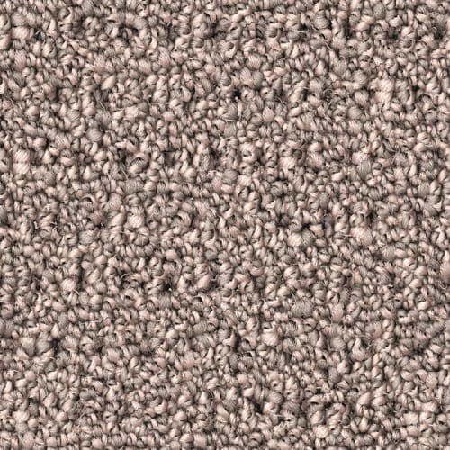 Nyluxe Petguard - Polka Dot