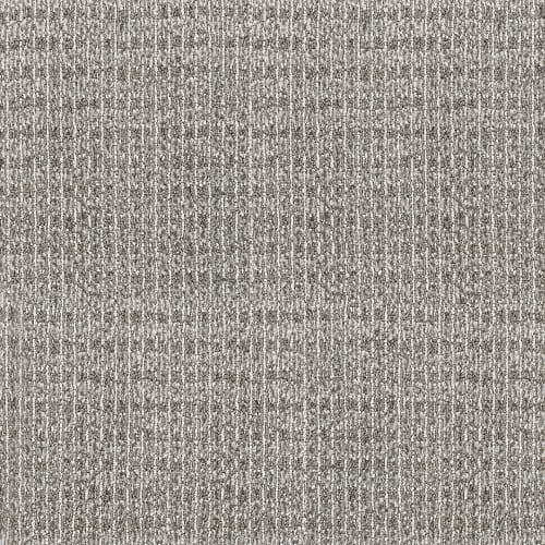 Sir Leon in Cinder Carpet