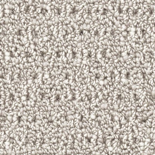 Nyluxe Petguard - Polka Dot in Snowfall Carpet