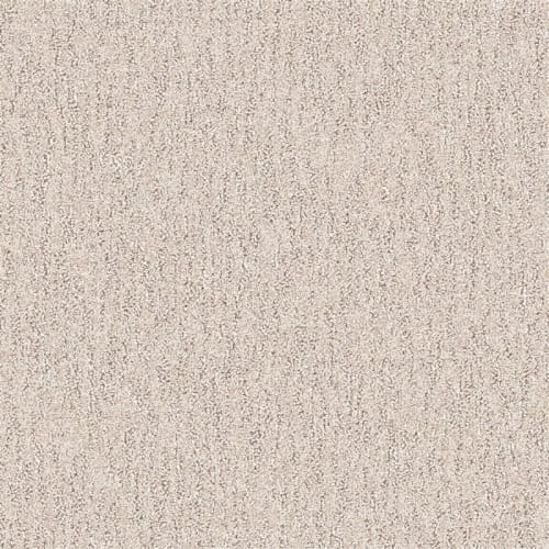 Nyluxe Petguard - Spiderweb