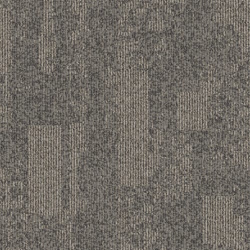 Dynamo