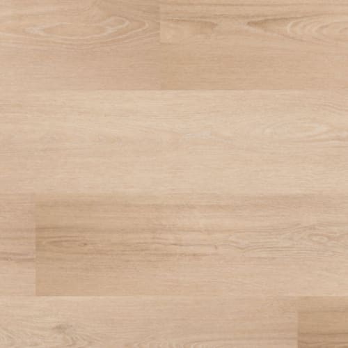Dynamix Grande Plank