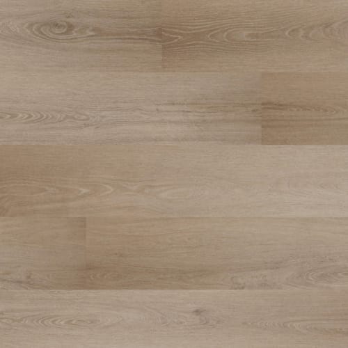 Dynamix Grande Plank