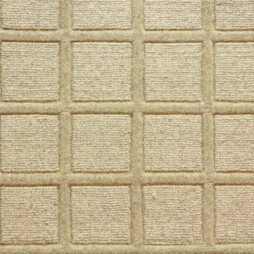 Synergy in Golden Harvest Prairitan Carpet