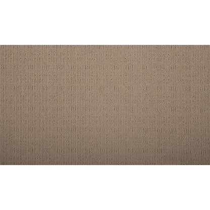 Elegant Portfolio in Cuban Sand