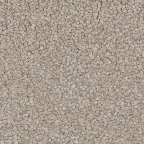 Influence in Charm Carpet