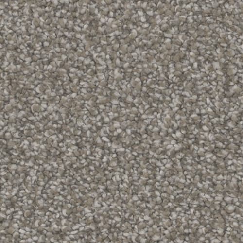 Impress in Tempt Carpet