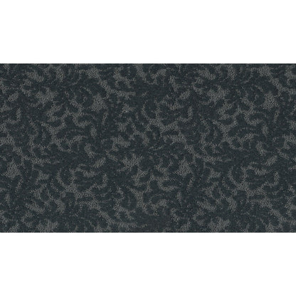 Graceful Allure in Midnight Express