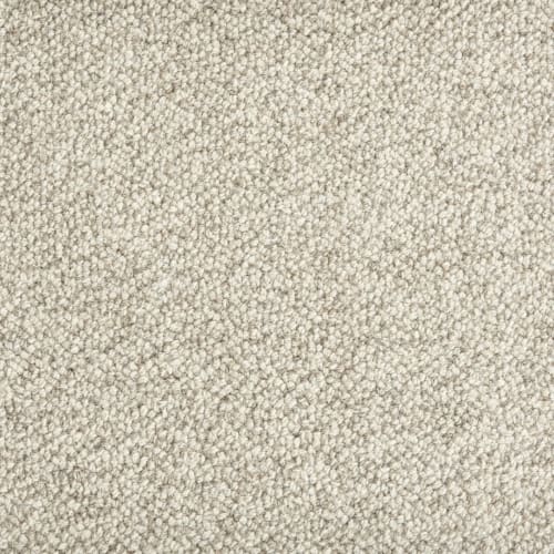 Trailblazer in Carbon Carpet