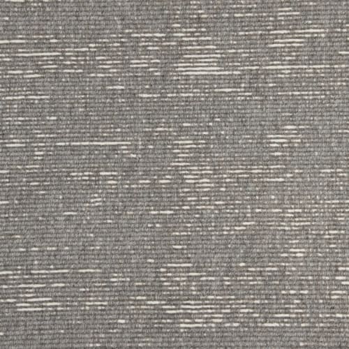Tazo in Shadow Carpet