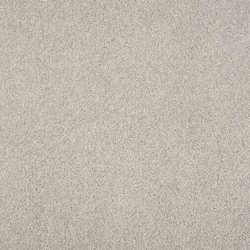 Tristan Plush I in Grey Dove Carpet