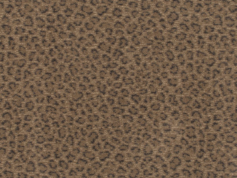 Imagine -  Exotic - Touch in African Plain