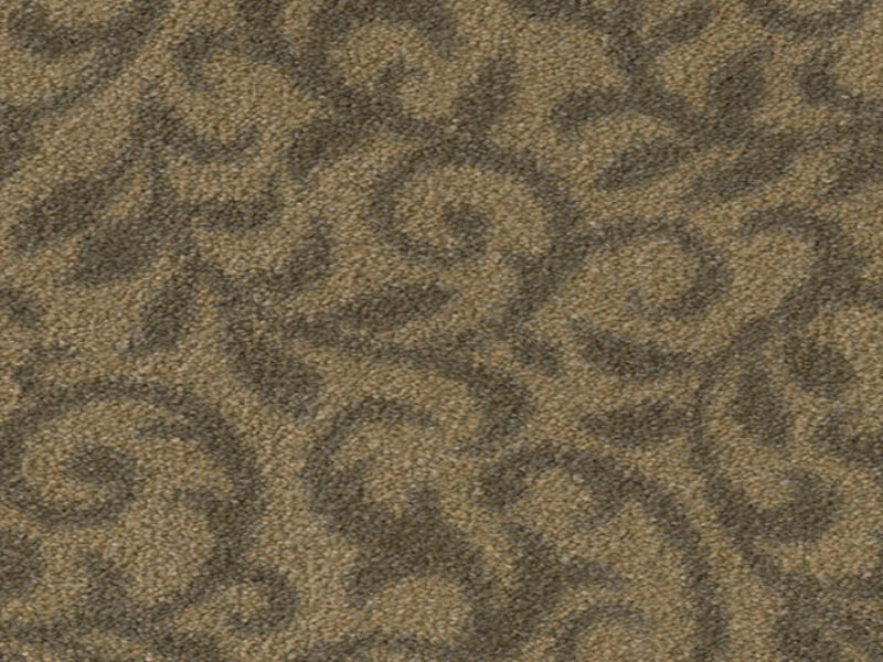 Imagine -  Pure Elegance in Clove