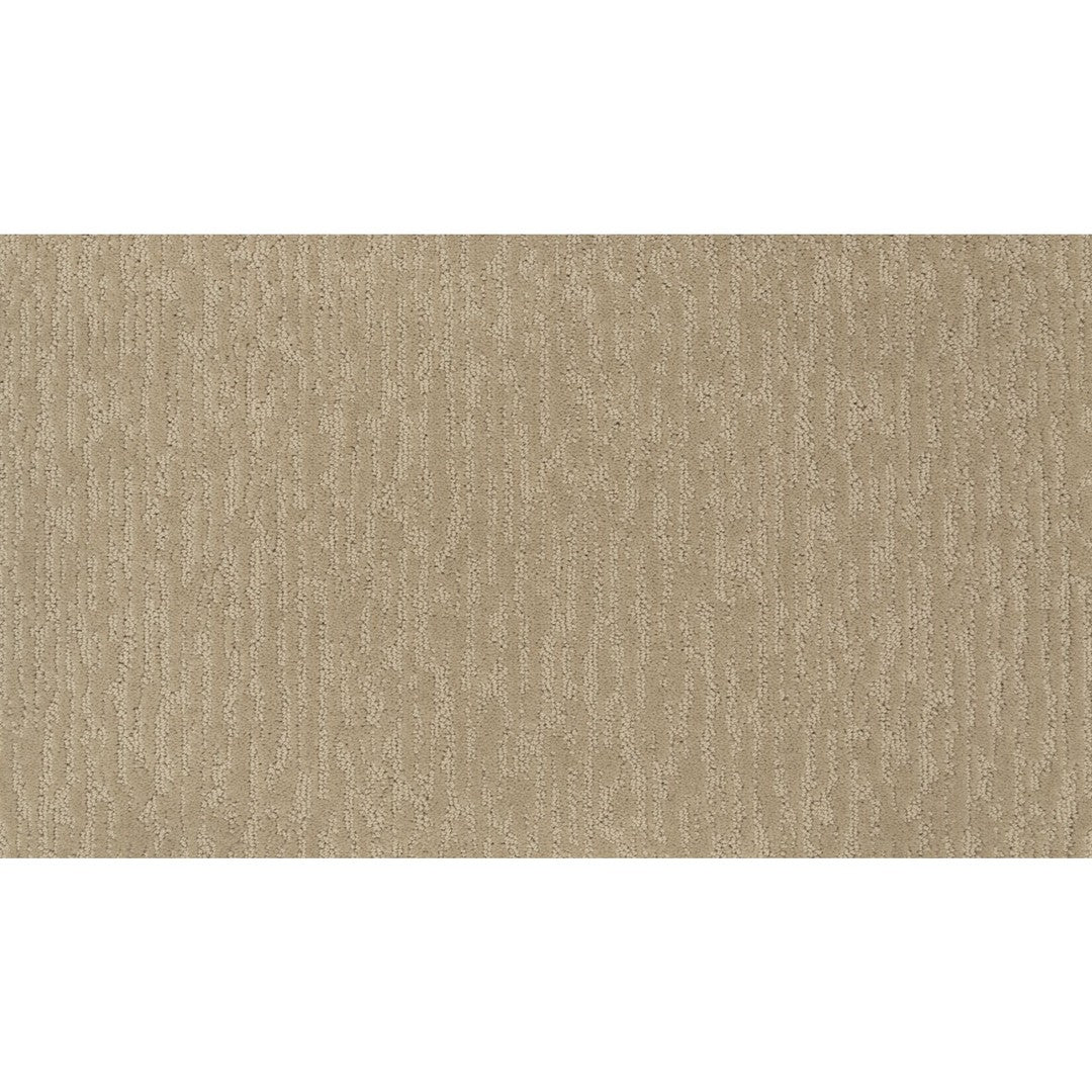 Dynamic Design II in Desert Sand