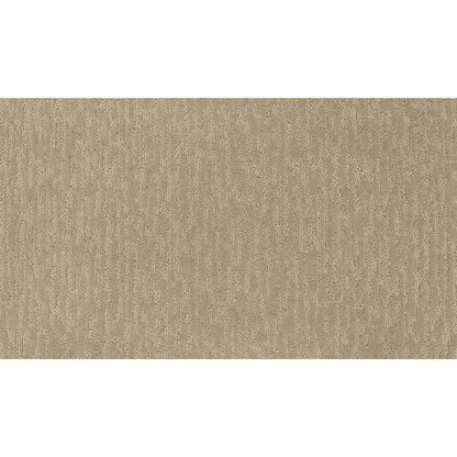 Dynamic Design II in Desert Sand
