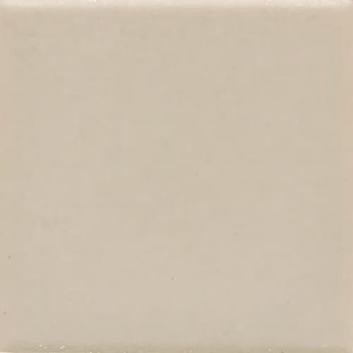 Unglazed Mosaics in Willow-1x1-Matte Tile