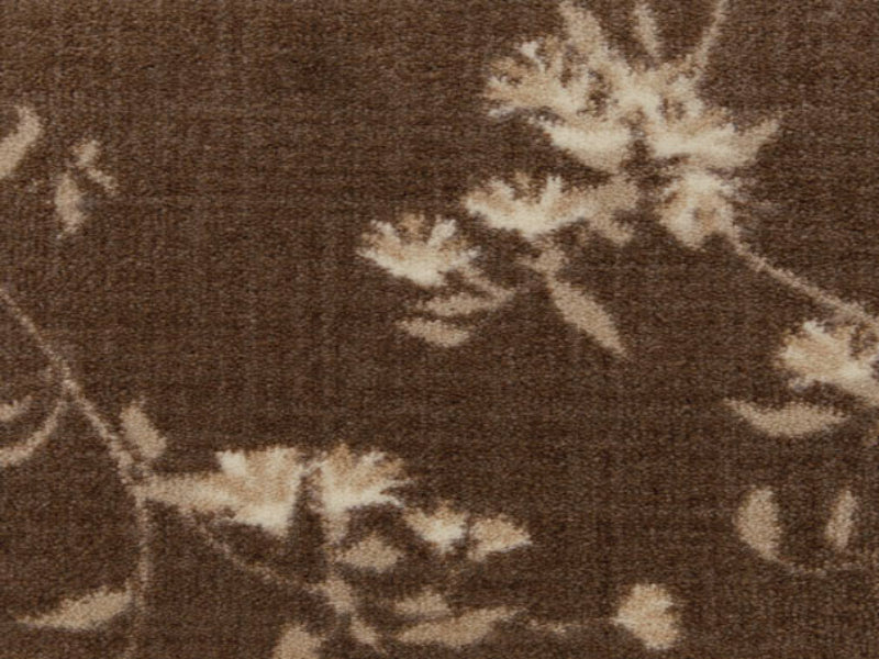 Imagine -  Seoul Garden in Dark Umber