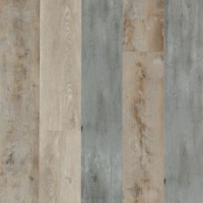Explorer's Forest in Metallic Shadows