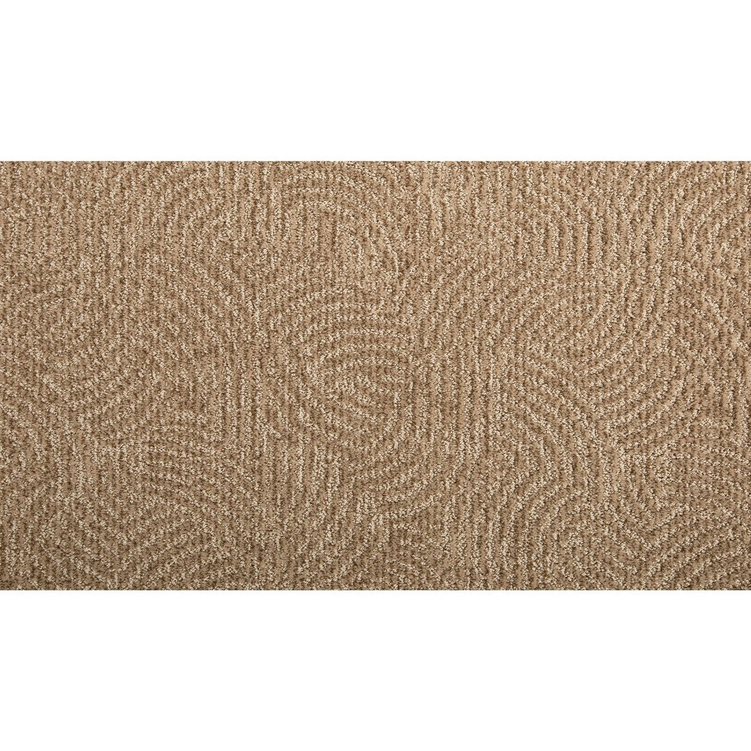 Fashion Sequence in Brushed Suede