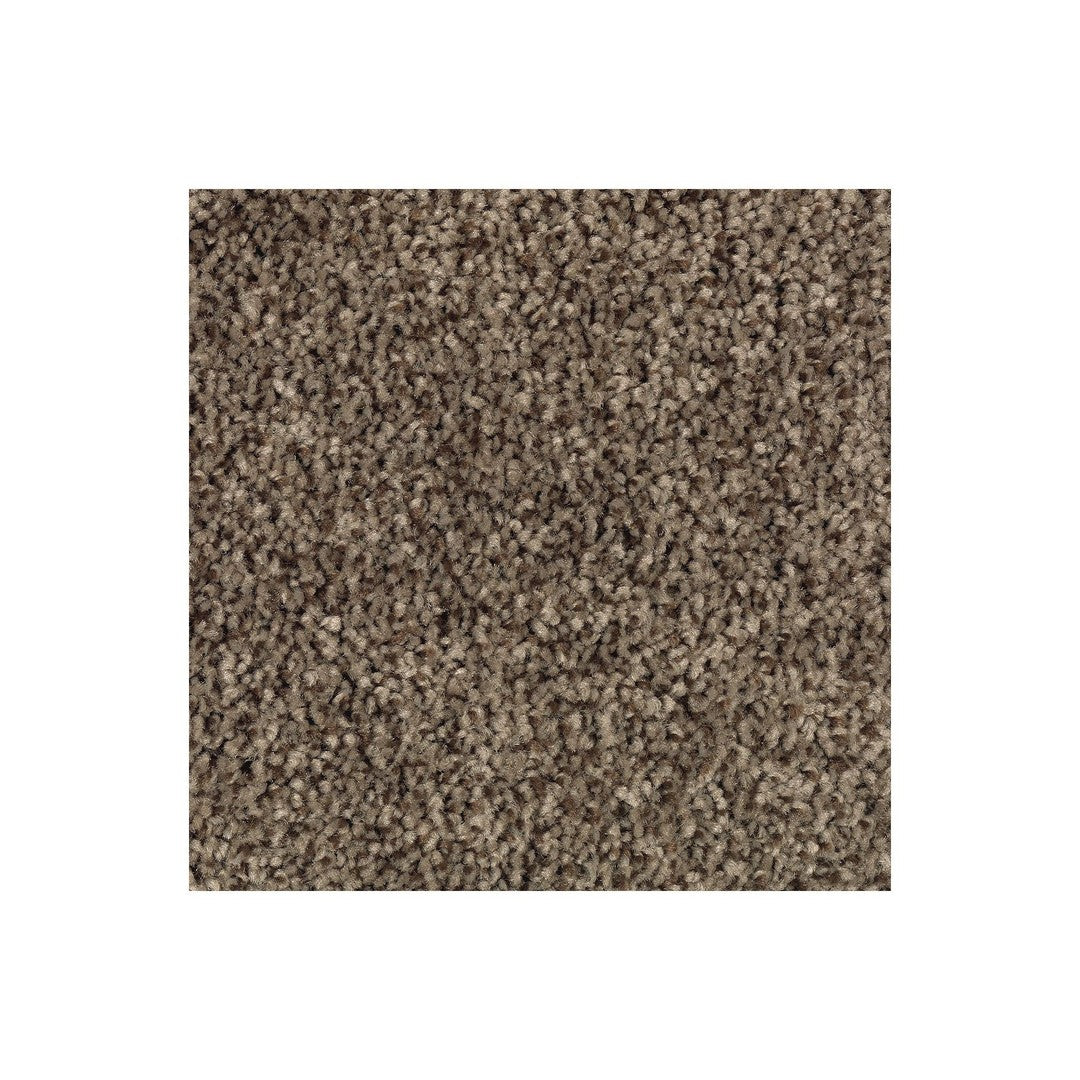 Natural Accents I in Party Mix