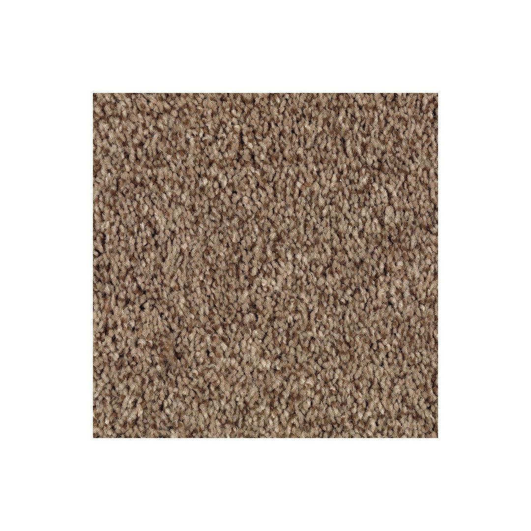 Natural Accents II in Highlander