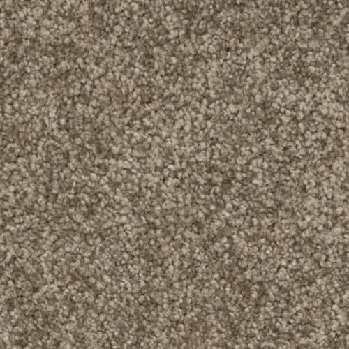 Nyluxe SDN - Radcliffe SDN