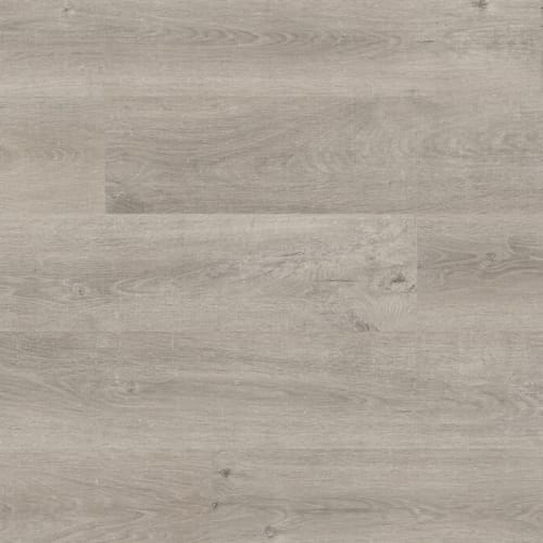 Park Lane in Venice Oak Grey Laminate