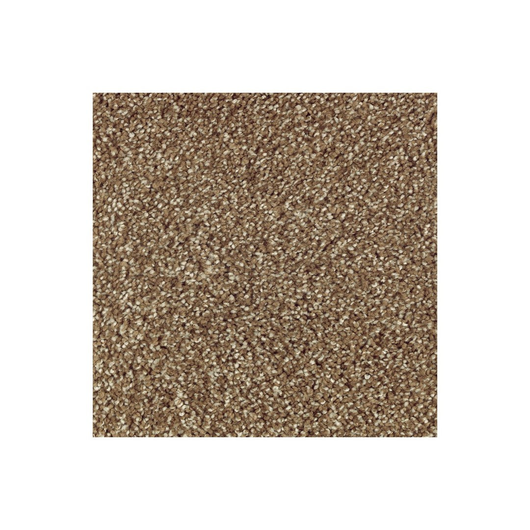 Native Allure I in Nutmeg