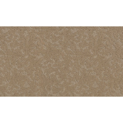 Graceful Allure in Ground Clove