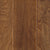 Waverton Birch in Burlap Birch Hardwood