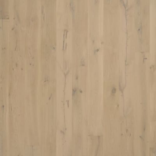 Madera Trace in Topeka Taupe Oak Hardwood