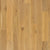 Brendwood in Caramelized Oak Hardwood