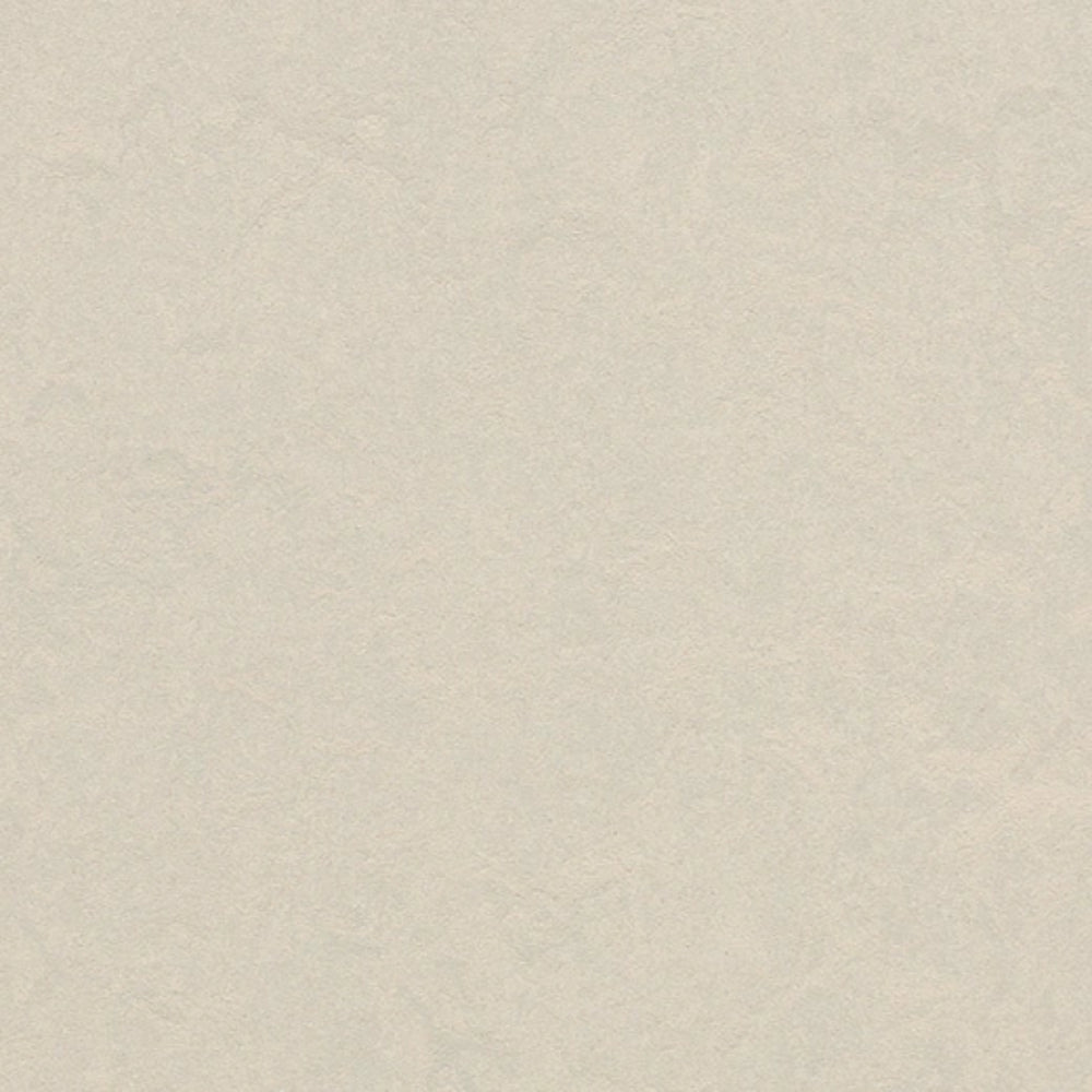 Marmoleum - Cinch Loc Seal in Edelweiss
