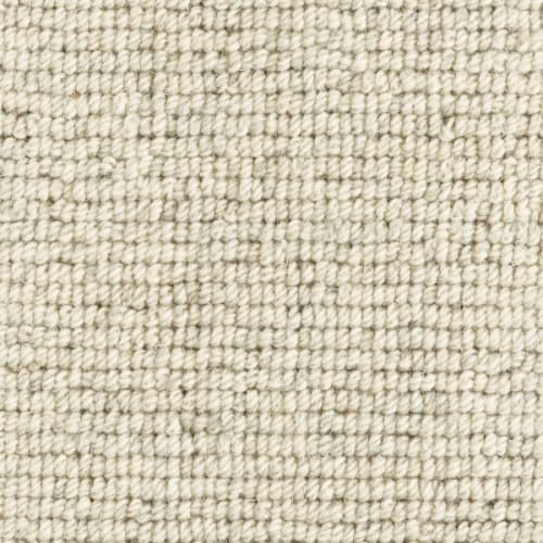 Westley in Pearl Carpet