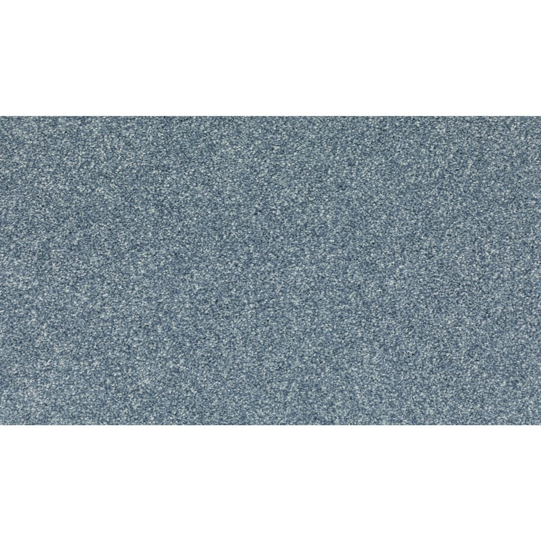 Radiant Surface in Hydrangea