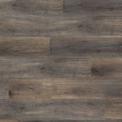 Maven Xtra in Wallace Xtra Laminate