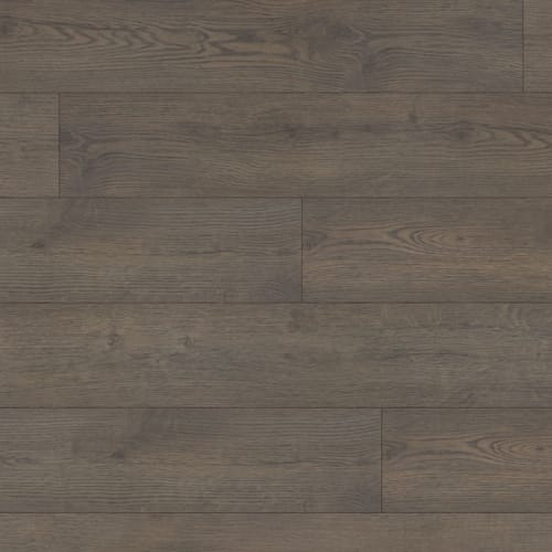 Conquest in William Laminate