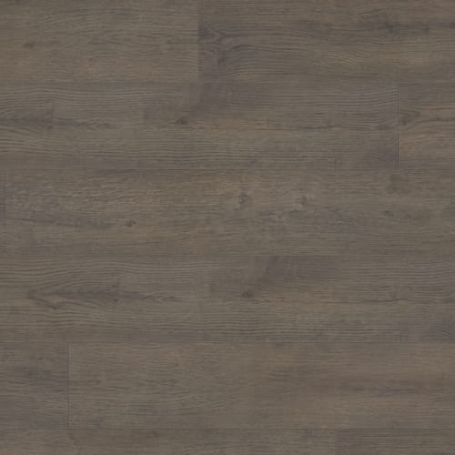Conquest Xtra in William Xtra Laminate