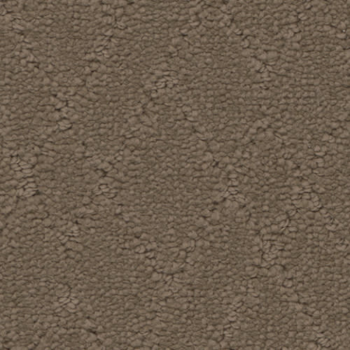 Windham in Terrain Carpet