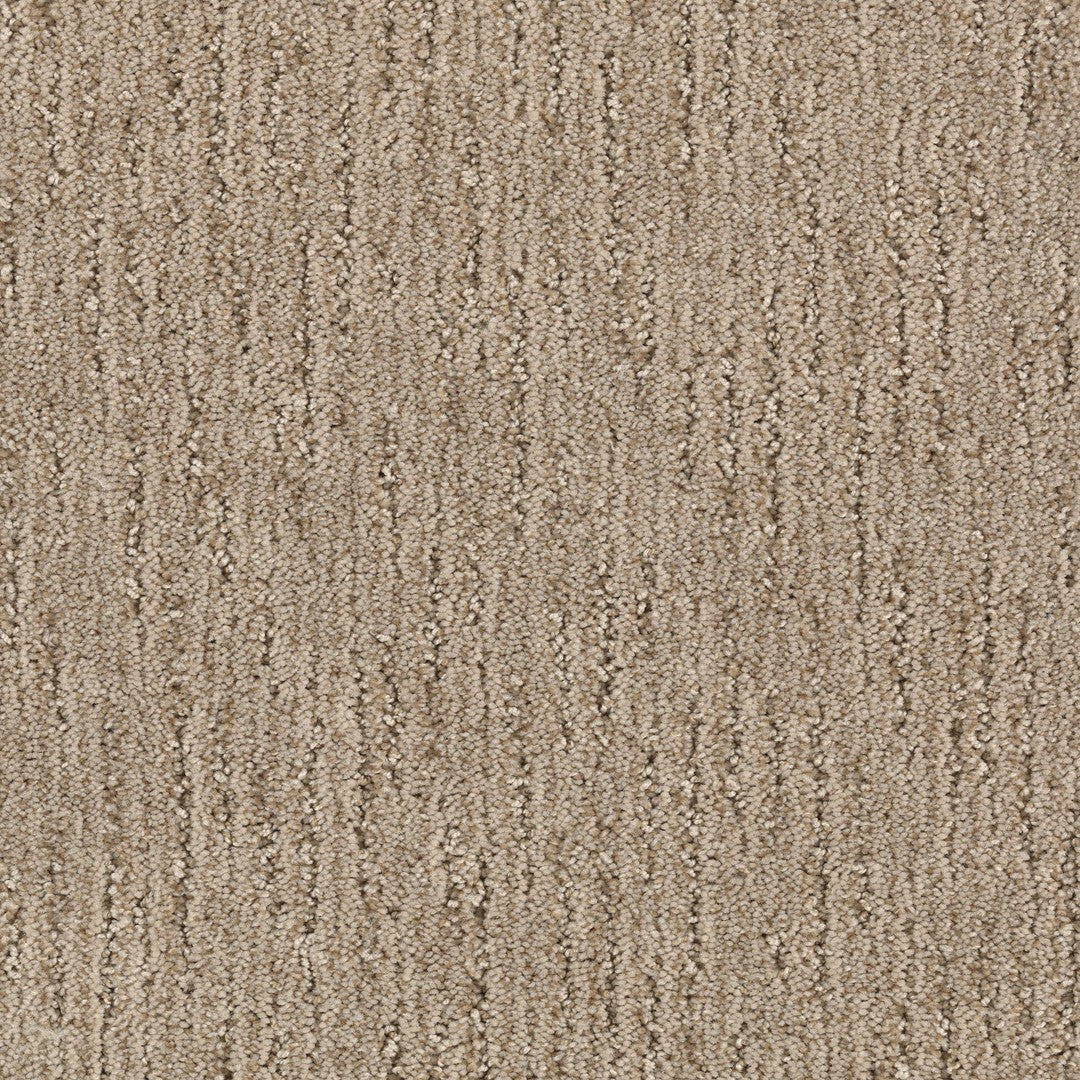 Sheer Innovation in Summer Wheat