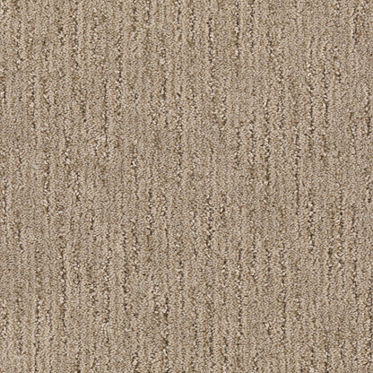 Sheer Innovation in Summer Wheat