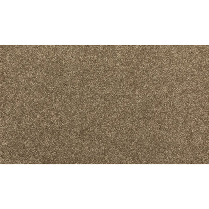 New Statement III in Pebble