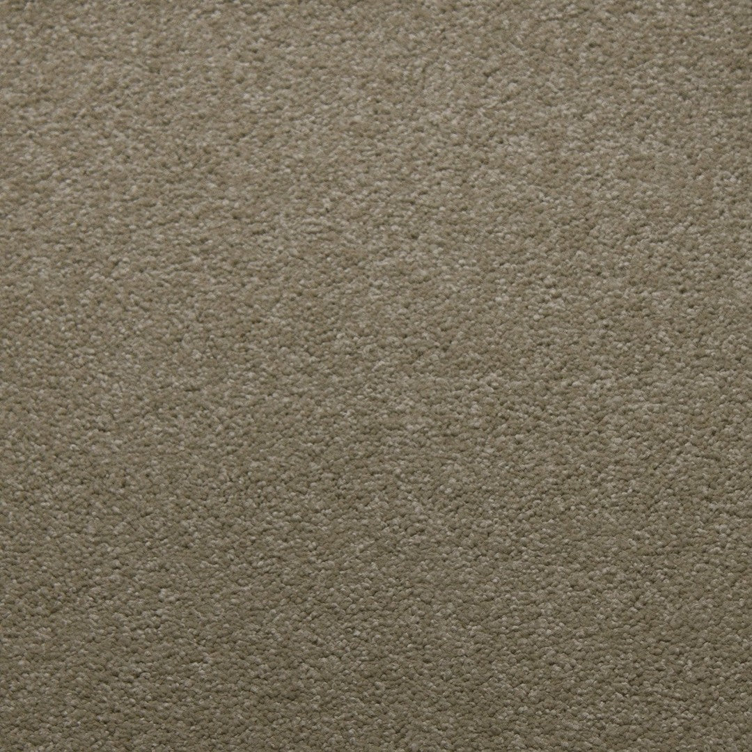 Whisper in Canvas