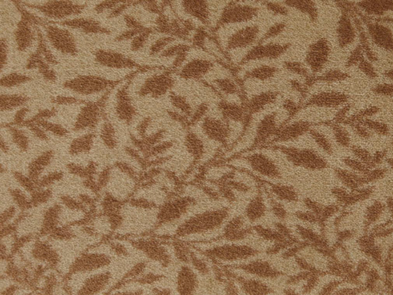 Imagine -  Hidden Trail in Copper Leaf