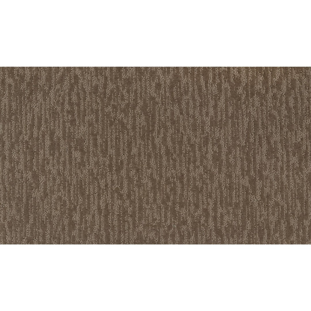 Dynamic Design II in Sonora