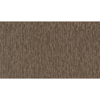 Dynamic Design II in Sonora
