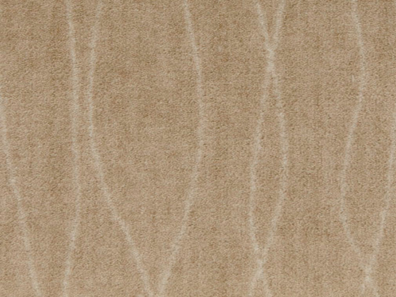 Imagine -  Streamline in Parchment
