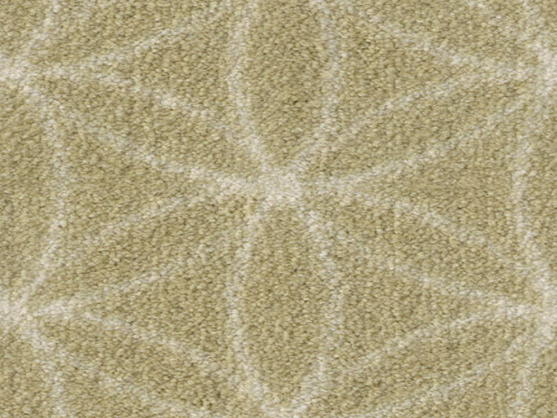 Imagine -  Eyelet in Pistachio