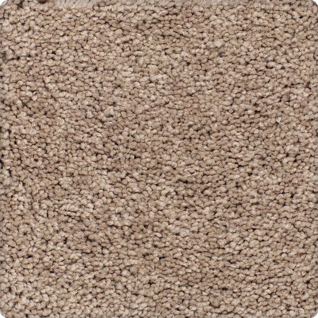 Inherent Style in Hickory Tan