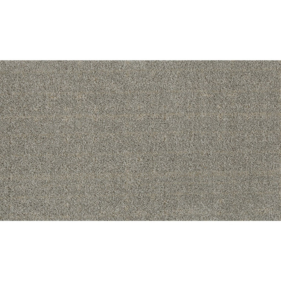 Furry Fun in Misty Granite